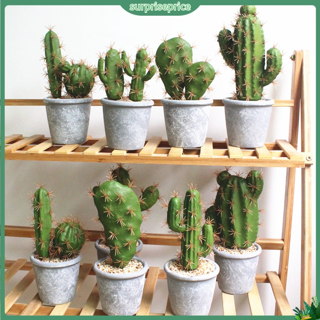 Chậu Cây Xương Rồng Giả Dùng Trang Trí Nhà Cửa / SPA