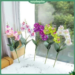 Cành hoa lan nhân tạo trang trí DIY đẹp mắt