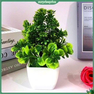 <surprise> Chậu hoa bonsai nhân tạo dùng để trang trí nội thất tiện dụng