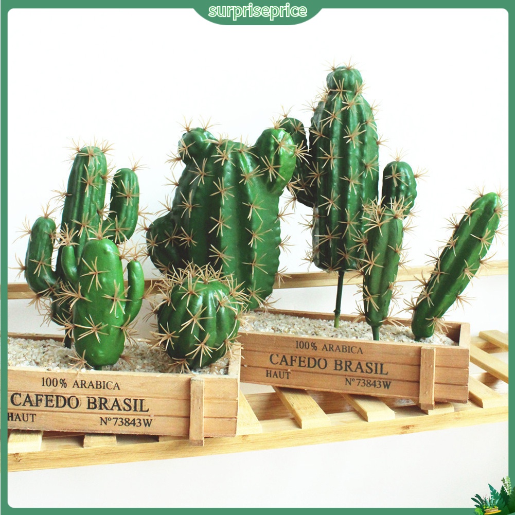 1 Cây xương rồng nhân tạo dùng trang trí không gian sân vườn