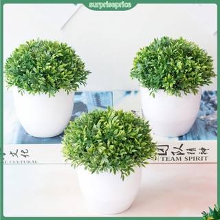 <surprise> Chậu cây xanh nhân tạo bằng nhựa trang trí chất lượng cao