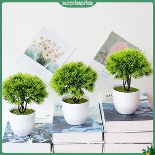 <surprise> Cây cảnh nhân tạo để bàn trang trí bàn làm việc/ nhà cửa