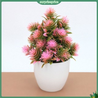 <surprise> 1 Chậu Cây Bonsai Nhân Tạo Mini Trang Trí Nhà Hàng / Khách Sạn