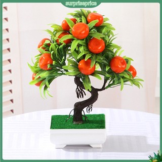 <surprise> 1 Cây Bonsai Giả Trang Trí Nhà Cửa
