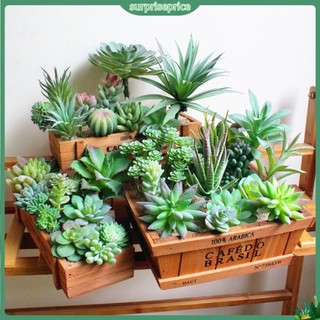 <surprise> 1 Chậu Cây Bonsai Nhân Tạo Mini Trang Trí Bàn Tiệc Cưới