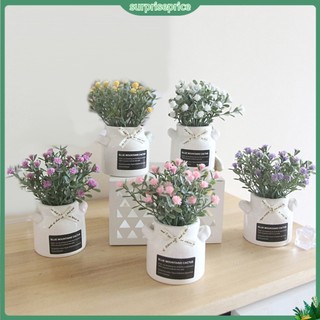 <surprise> 1 Chậu Cây Cảnh Nhân Tạo DIY Để Trang Trí Tiệc Cưới hoa