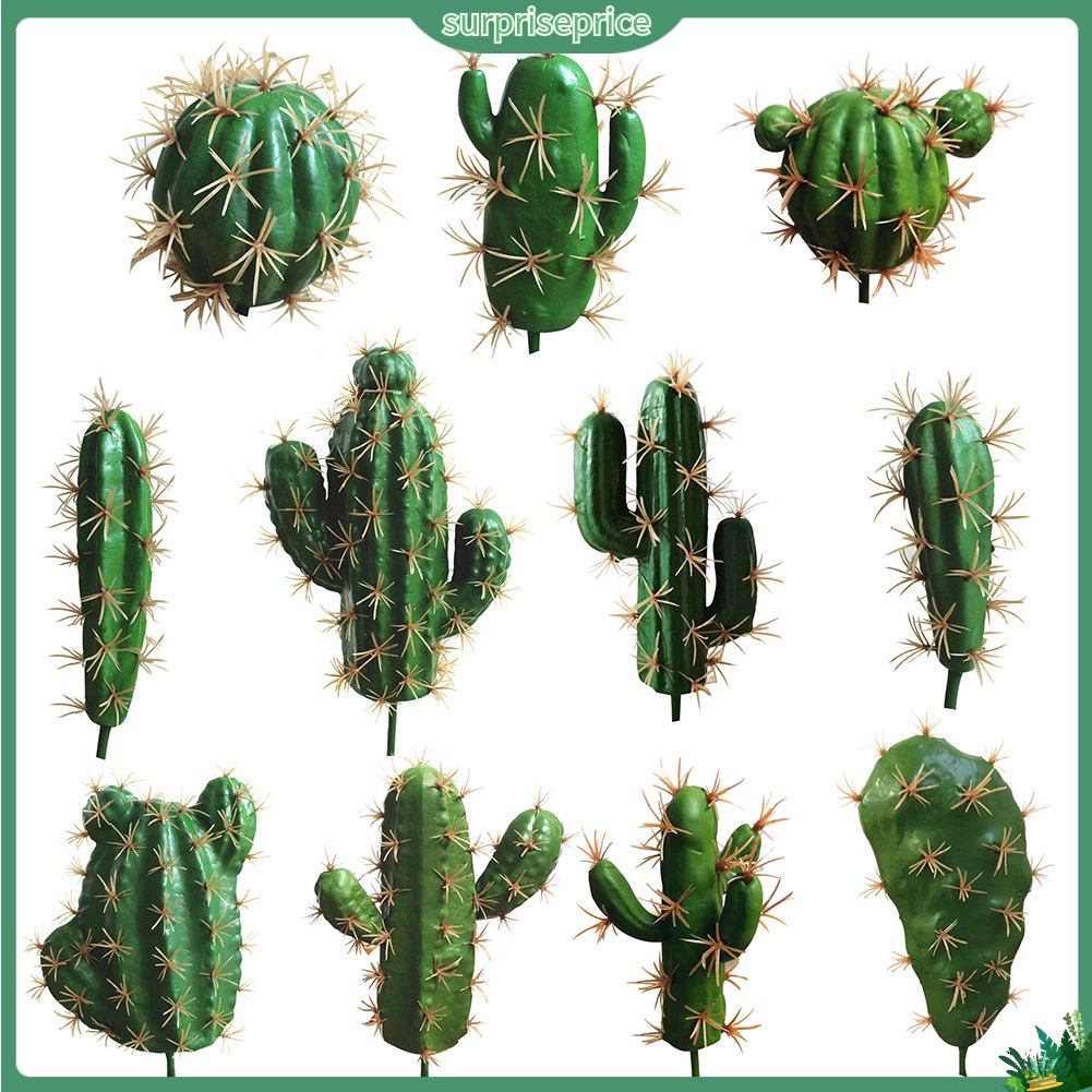 1 Cây xương rồng nhân tạo dùng trang trí không gian sân vườn