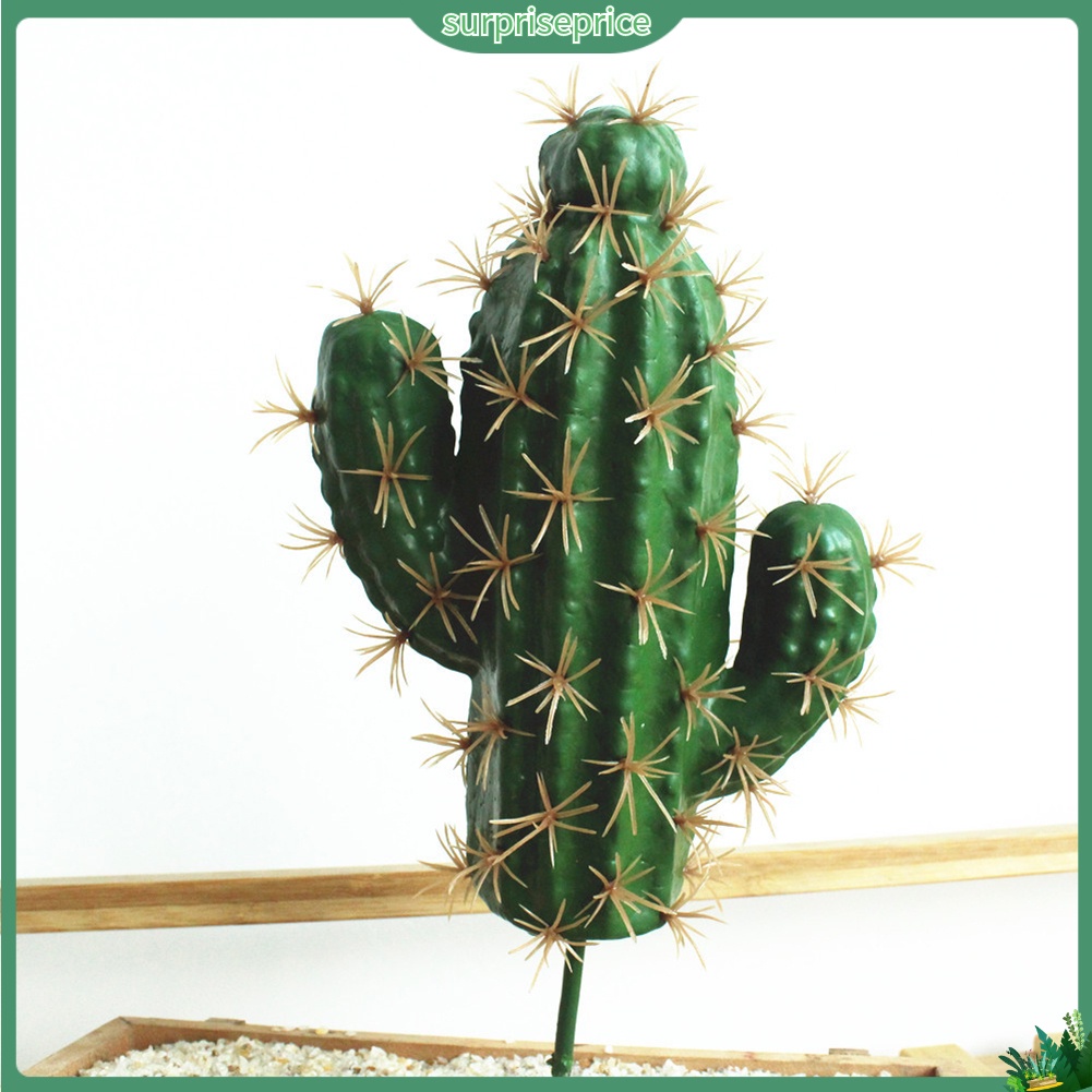 1 Cây xương rồng nhân tạo dùng trang trí không gian sân vườn