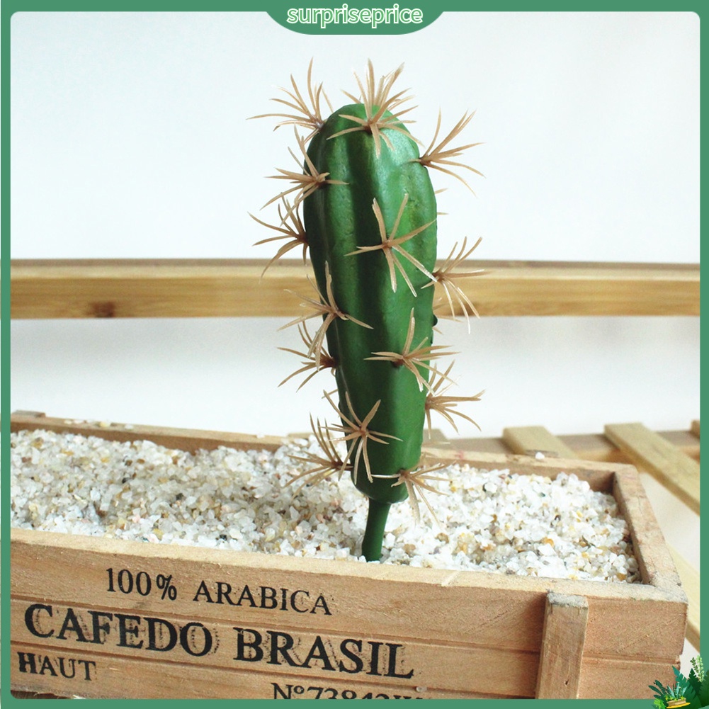 1 Cây xương rồng nhân tạo dùng trang trí không gian sân vườn