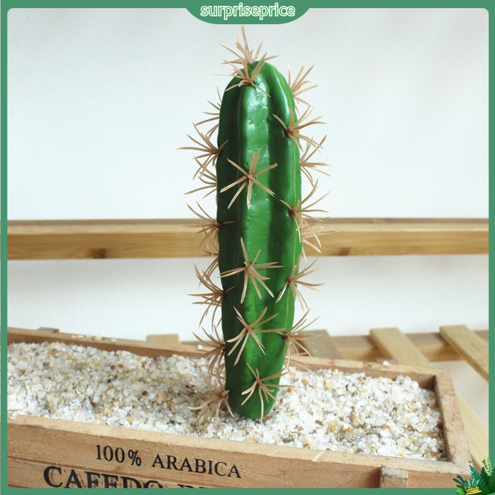 1 Cây xương rồng nhân tạo dùng trang trí không gian sân vườn