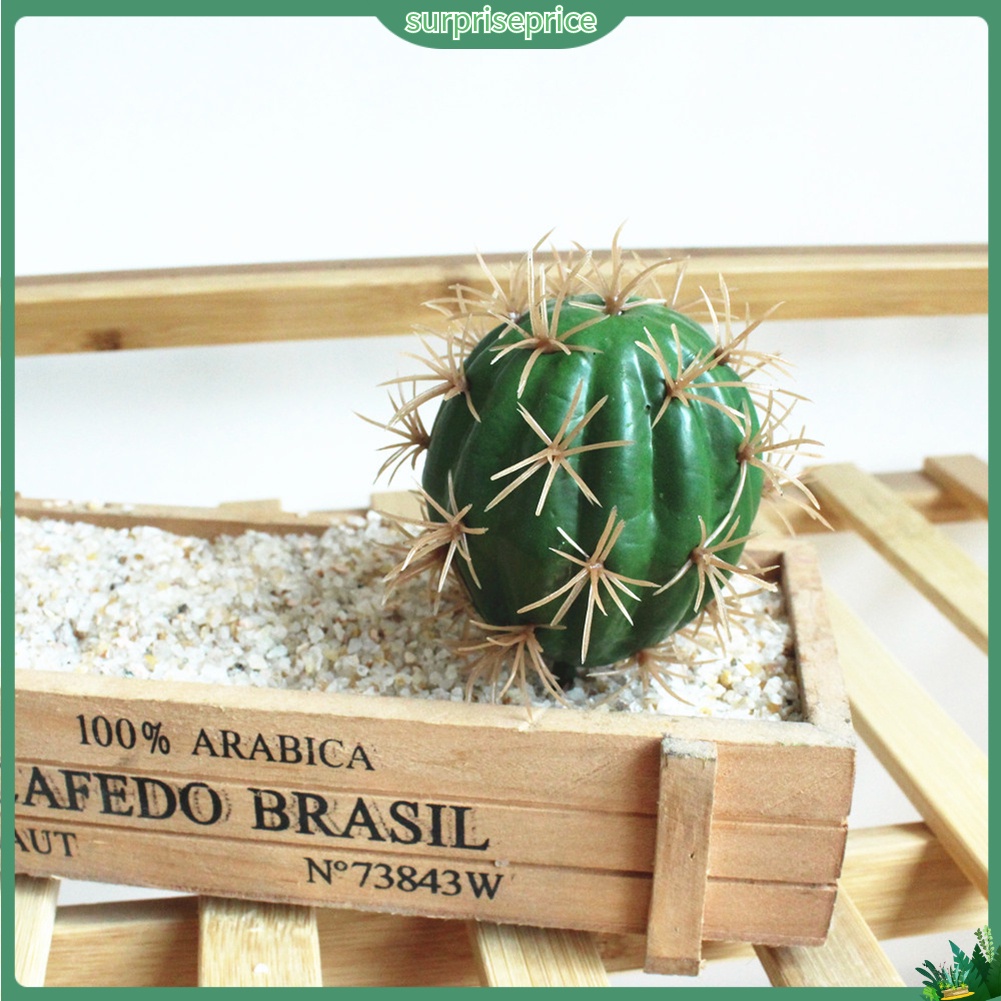 1 Cây xương rồng nhân tạo dùng trang trí không gian sân vườn