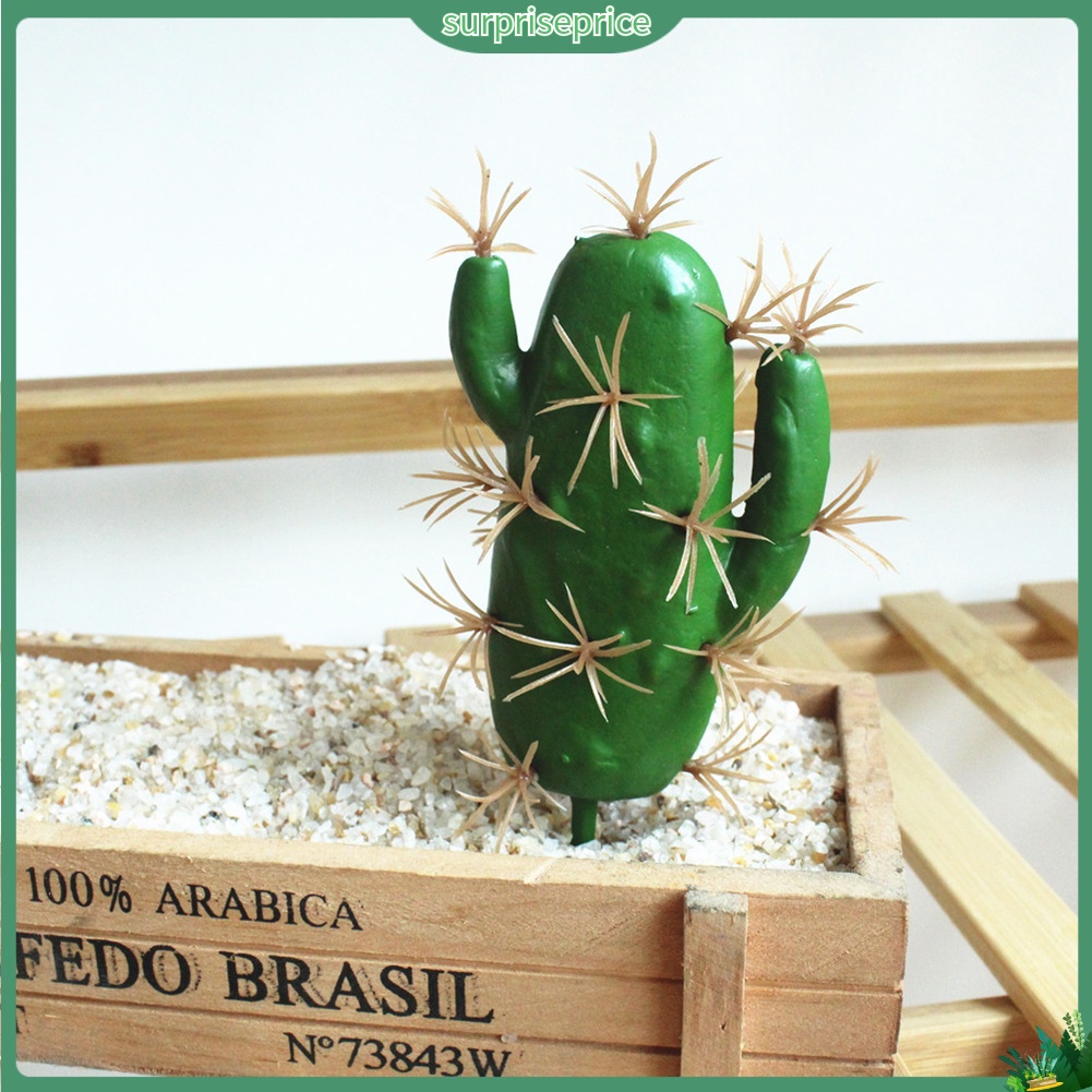 1 Cây xương rồng nhân tạo dùng trang trí không gian sân vườn