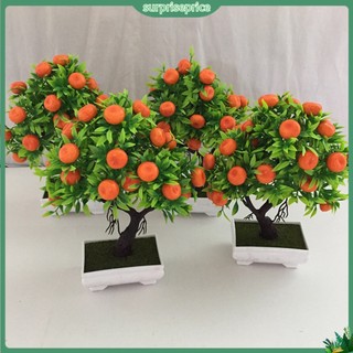 <surprise> Chậu cây cam nhân tạo cho trang trí nhà sân vườn