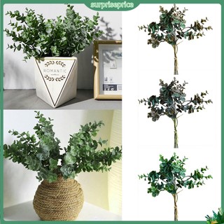 <surprise> Cây bạch đàn giả trang trí nội thất giản dị tiện dụng