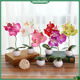 <surprise> 1 Chậu Hoa Lan Cánh Bướm Nhân Tạo Trang Trí Sân Khấu / Tiệc Cưới