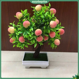 <surprise> Chậu cây đào giả trang trí bàn/nhà cửa/sân vườn hoa