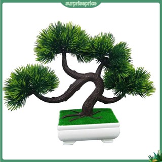 <surprise> Chậu cây thông giả trang trí bàn làm việc mini