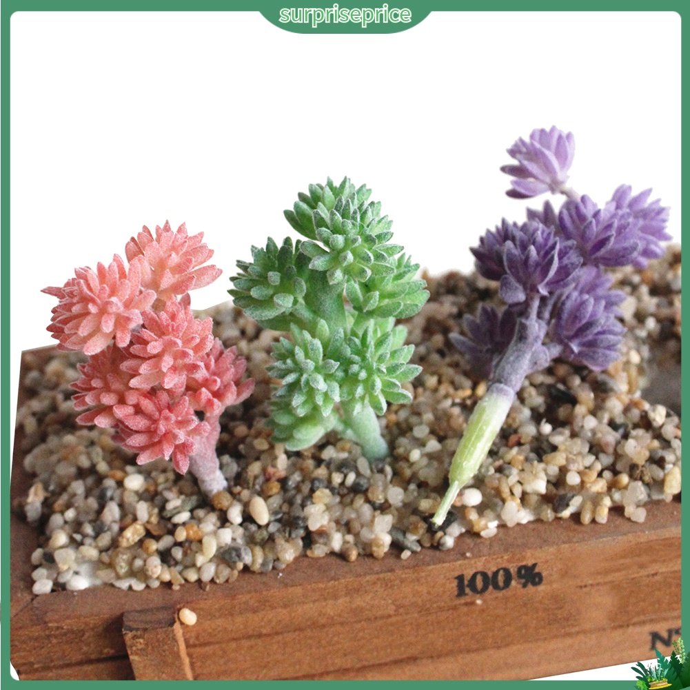 1 Cây Mọng Nước Nhân Tạo Mini Cho Trang Trí