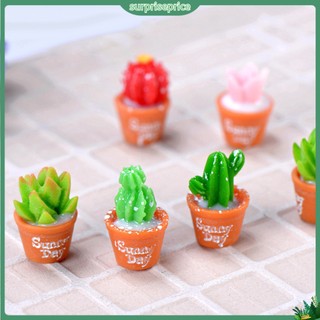 <surprise> Bộ 2 mô hình cây xương rồng mini bằng nhựa chuyên dụng cho trang trí tiểu cảnh
