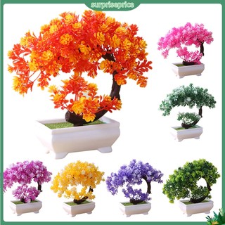 <surprise> Chậu Cây Bonsai Giả Trang Trí Nhà Cửa