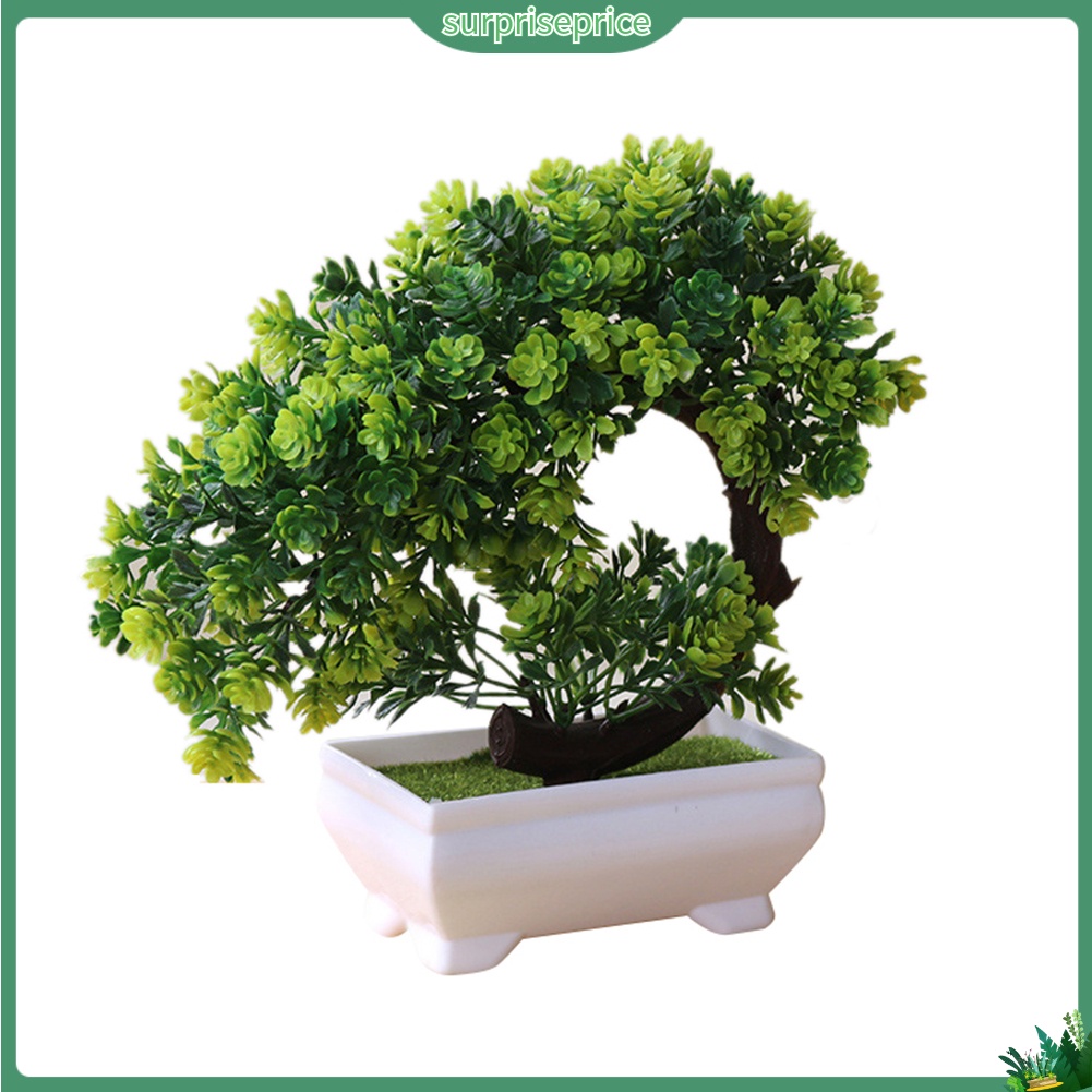 Chậu Cây Bonsai Giả Trang Trí Nhà Cửa