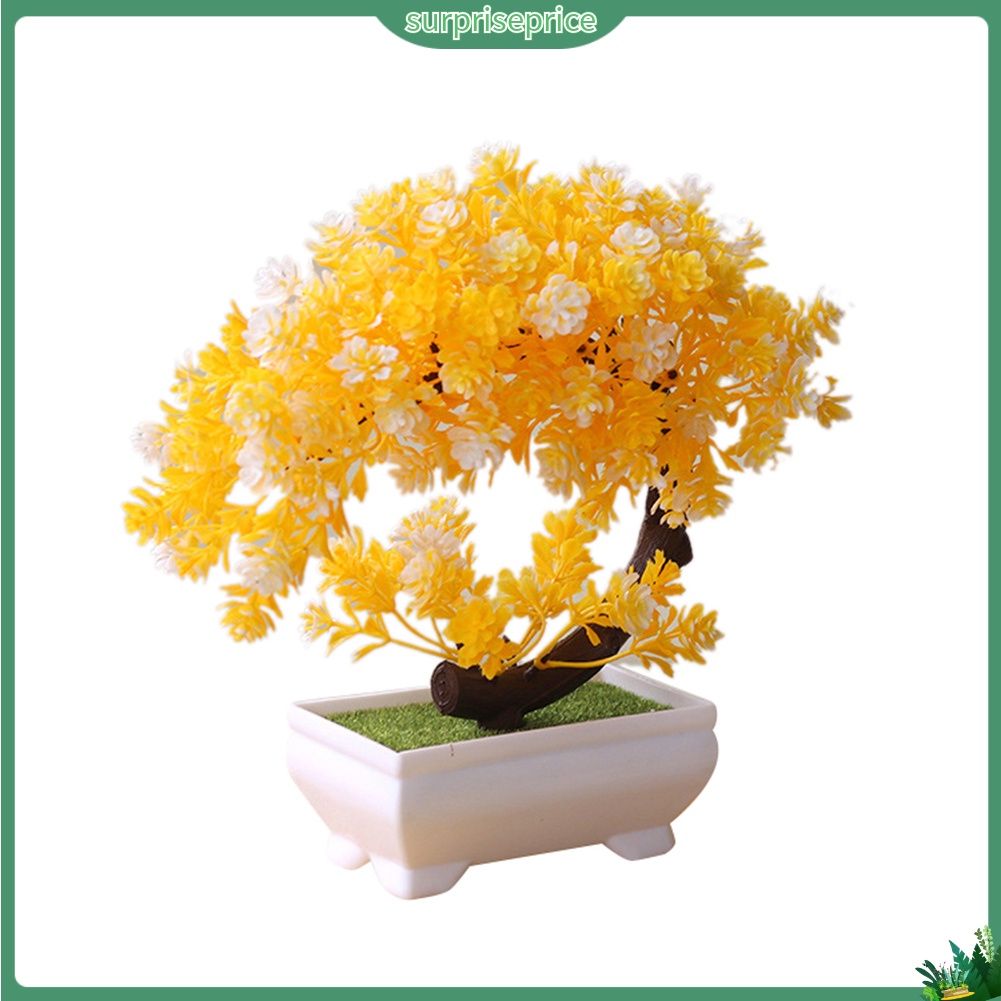 Chậu Cây Bonsai Giả Trang Trí Nhà Cửa