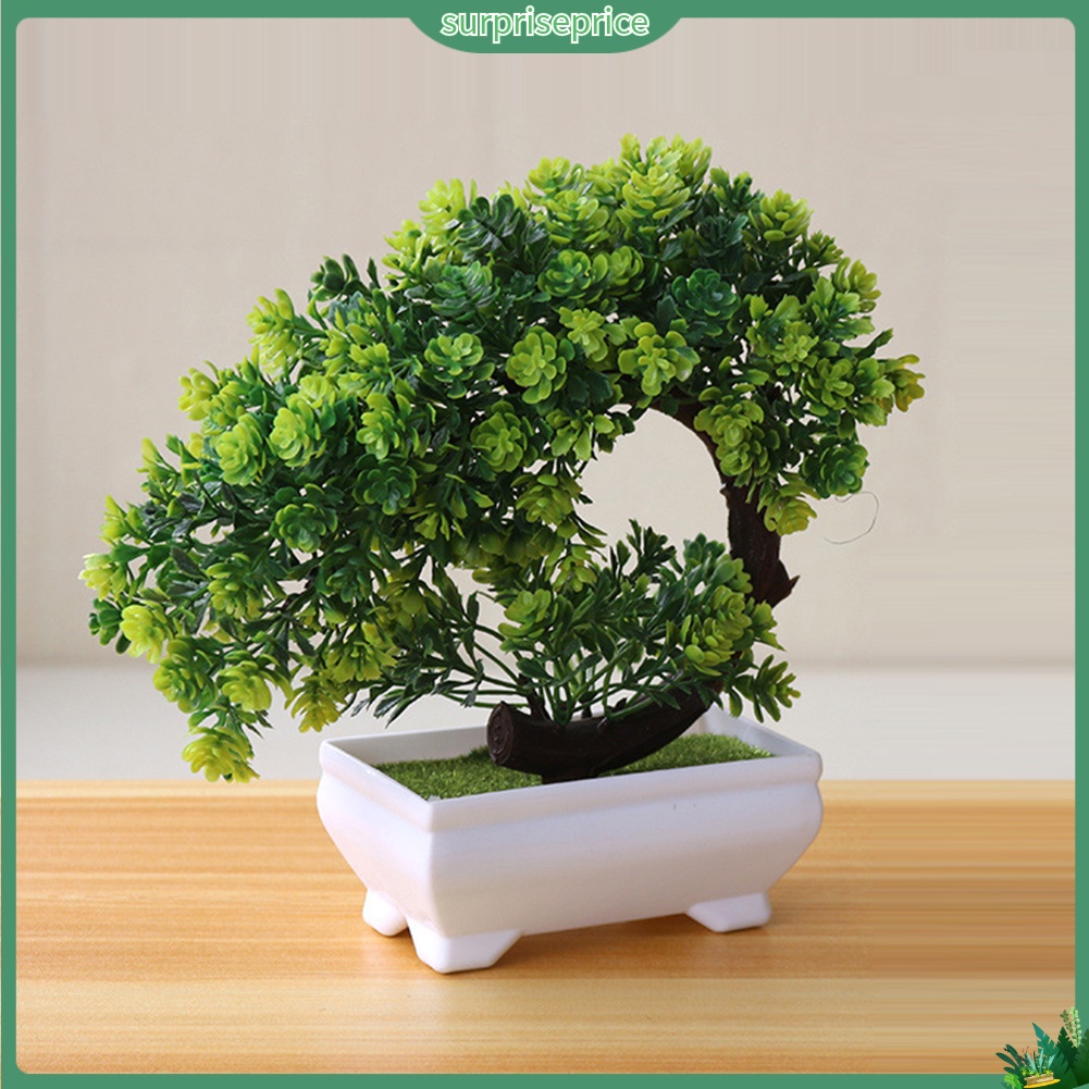 Chậu Cây Bonsai Giả Trang Trí Nhà Cửa