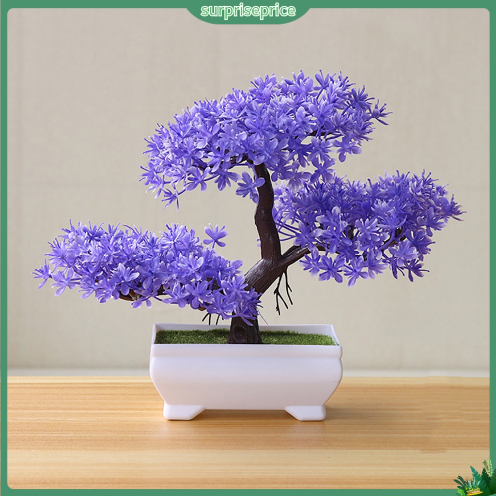 Chậu Cây Bonsai Giả Trang Trí