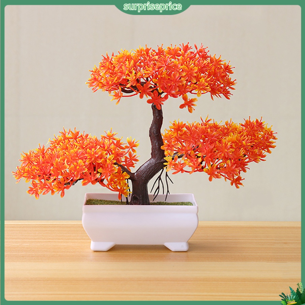 Chậu Cây Bonsai Giả Trang Trí