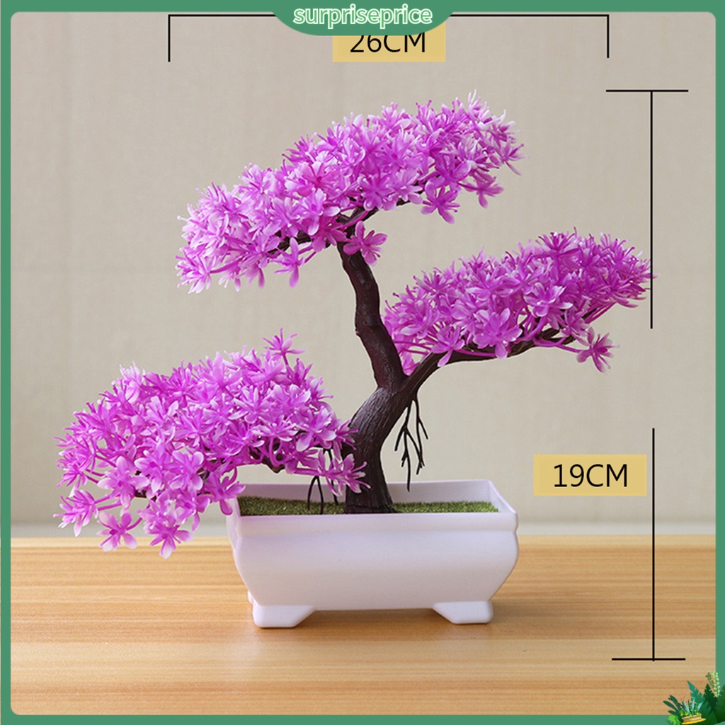 Chậu Cây Bonsai Giả Trang Trí