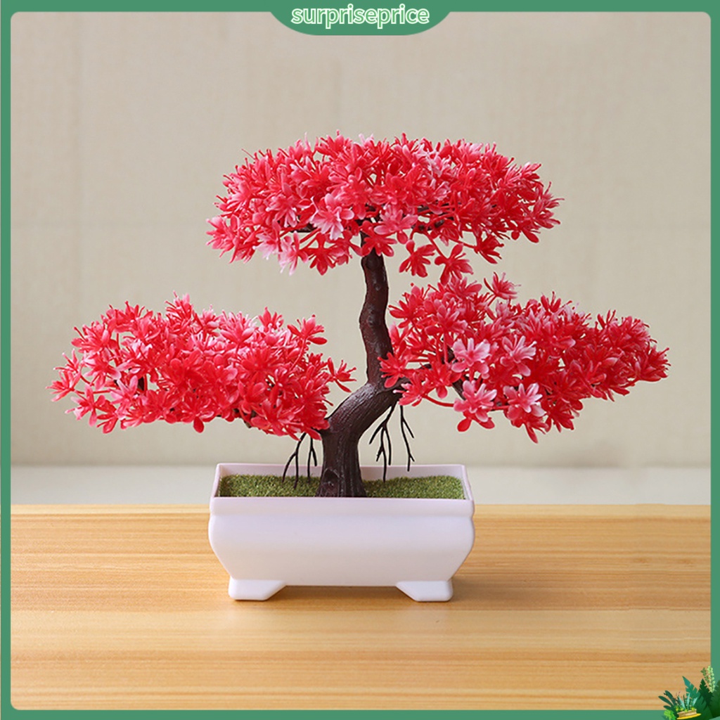 Chậu Cây Bonsai Giả Trang Trí
