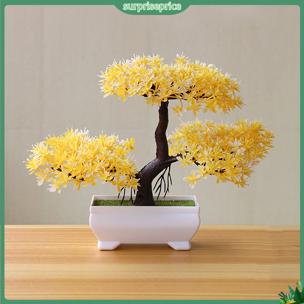 Chậu Cây Bonsai Giả Trang Trí