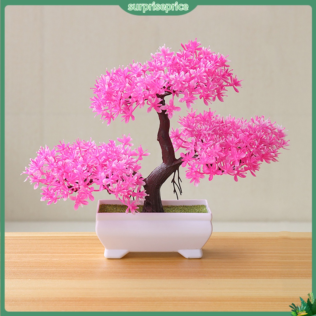 Chậu Cây Bonsai Giả Trang Trí
