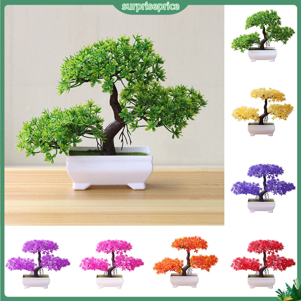 Chậu Cây Bonsai Giả Trang Trí