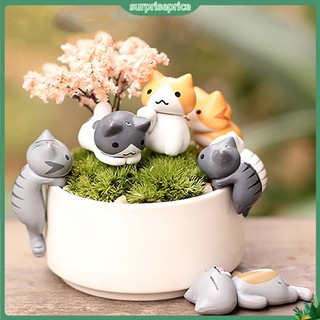 <surprise> Bộ 6 mô hình mèo mini trang trí sân vườn