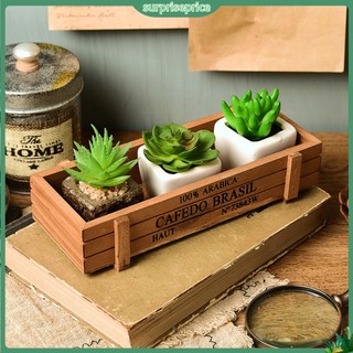 <surprise> Khay gỗ hình chữ nhật trồng cây trang trí sân vườn