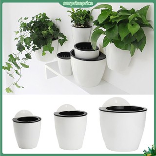 <surprise> Chậu hoa gắn tường sáng tạo độc đáo