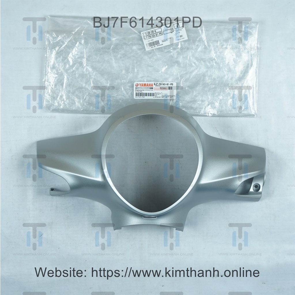 Đầu Janus Yamaha VN _ BJ7F6143