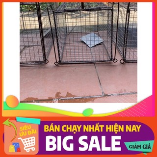 Lồng bẫy đa năng bẫy mèo thú rừng 3050