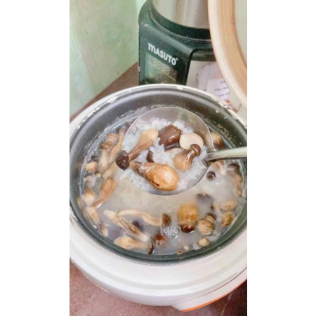 NẤM MỐI SẤY THĂNG HOA