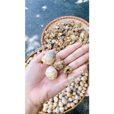 NẤM RƠM SẤY THĂNG HOA KHO TIÊU