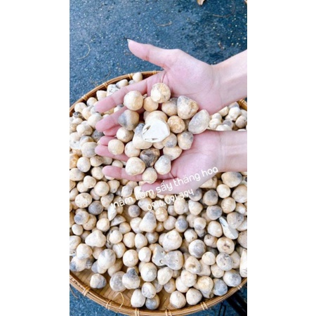 NẤM RƠM SẤY THĂNG HOA KHO TIÊU