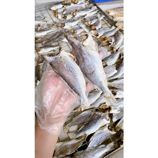 Khô cá lù đù mặn nguyên con