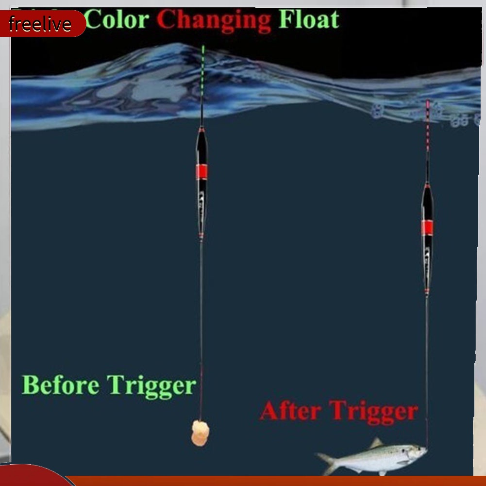 Phao Câu Cá Tự Động Có Đèn Led