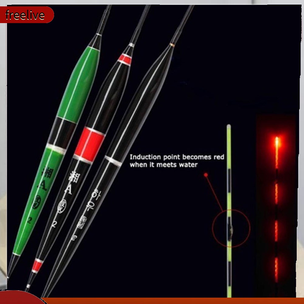 Phao Câu Cá Tự Động Có Đèn Led