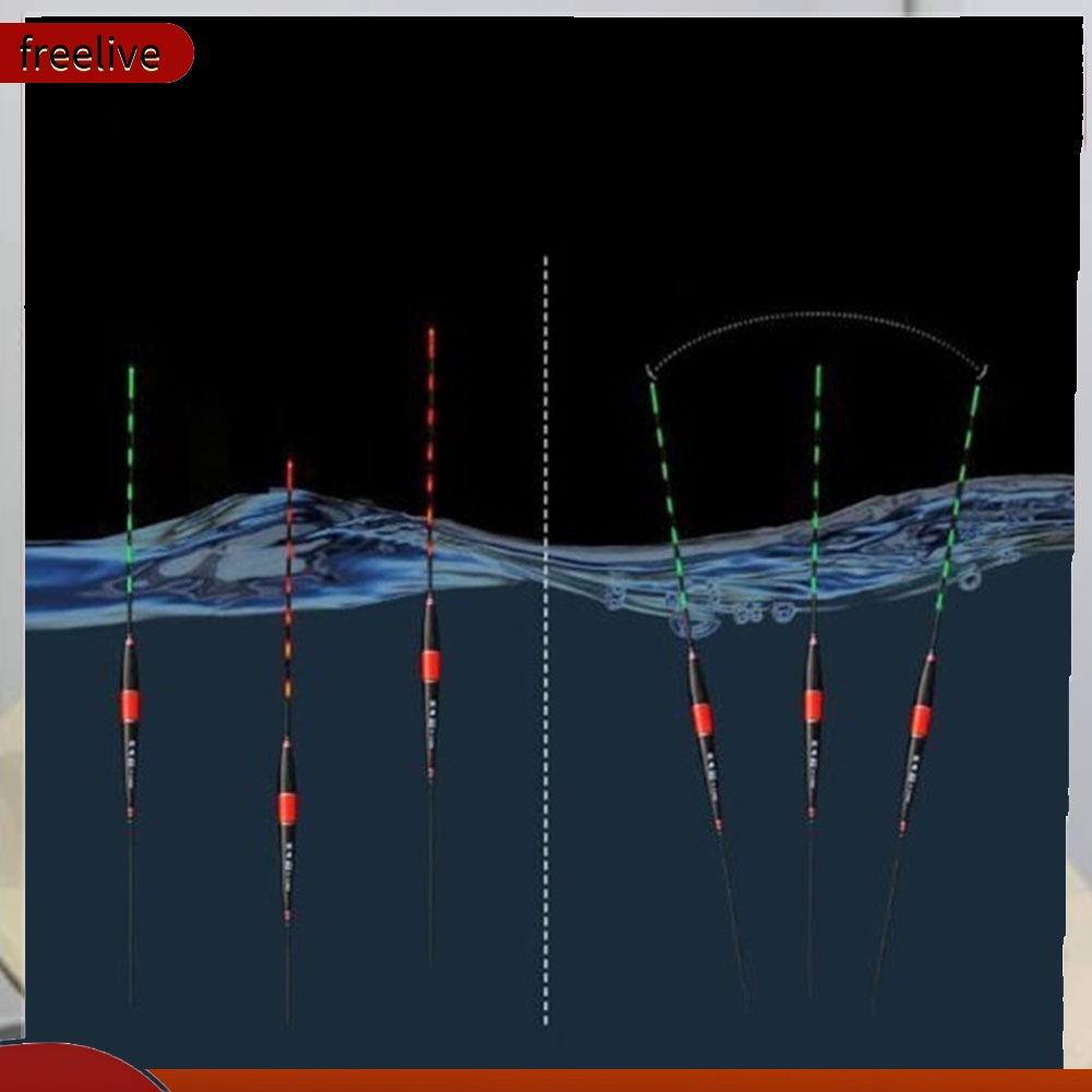 Phao Câu Cá Tự Động Có Đèn Led
