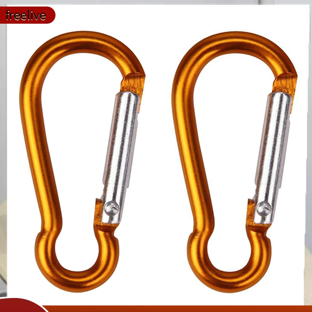 Bộ 2 Móc Khóa Hợp Kim Hình Chữ D Dành Cho Leo Núi