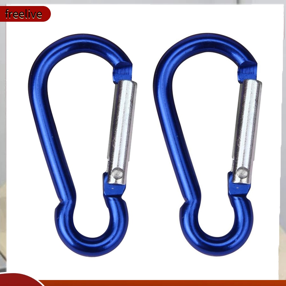 Bộ 2 Móc Khóa Hợp Kim Hình Chữ D Dành Cho Leo Núi