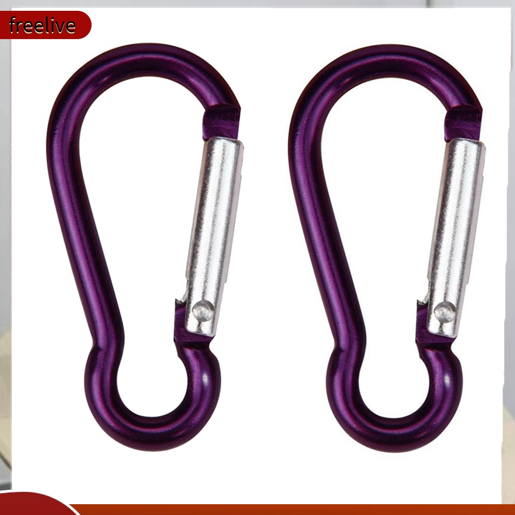 Bộ 2 Móc Khóa Hợp Kim Hình Chữ D Dành Cho Leo Núi