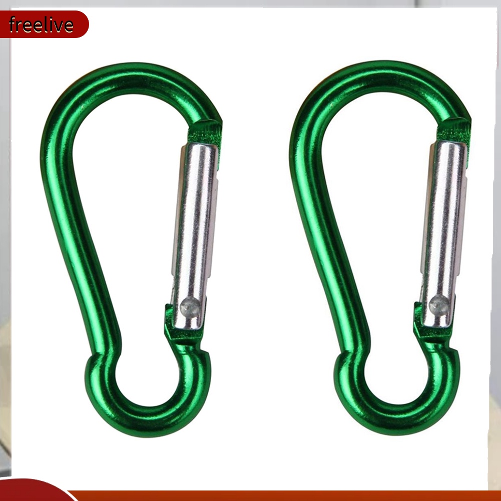 Bộ 2 Móc Khóa Hợp Kim Hình Chữ D Dành Cho Leo Núi